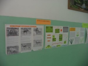 DSC05052